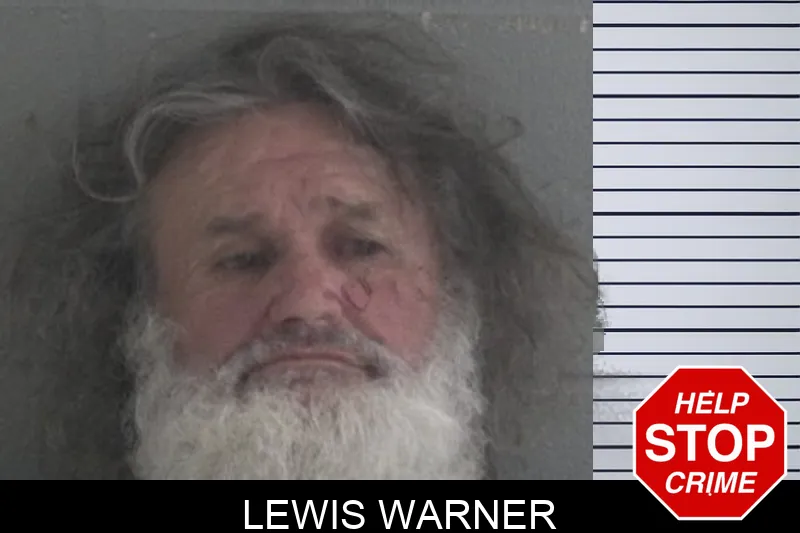 Lewis Warner mugshot – Brantley County , Georgia Lewis Warner mugshot