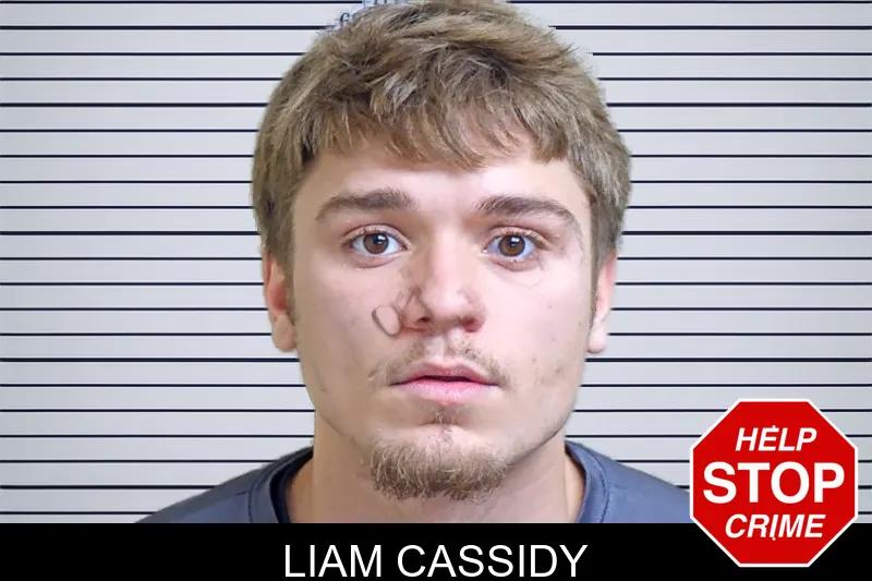 Liam Cassidy mugshot – Gwinnett County , Georgia Liam Cassidy mugshot