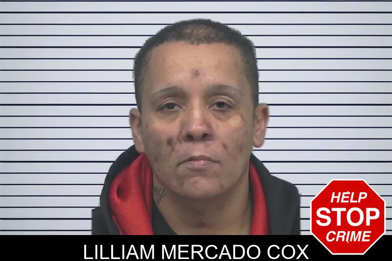 Lilliam Mercado Cox mugshot