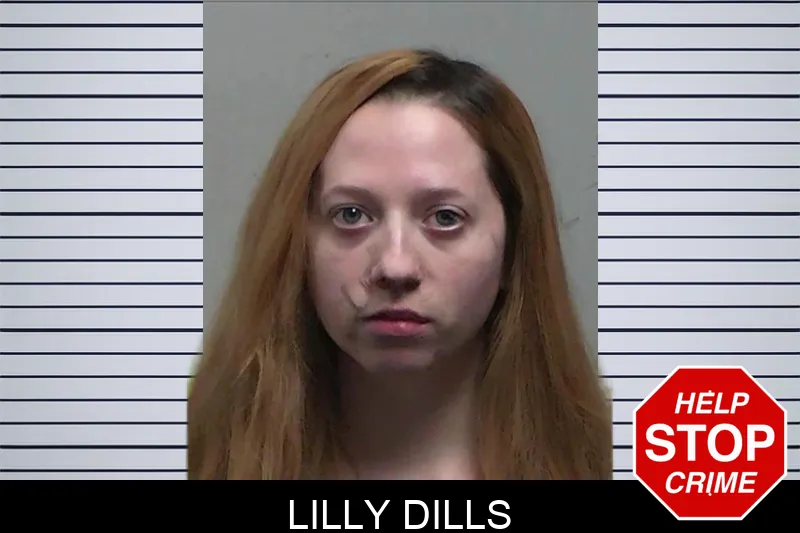 Lilly Dills mugshot