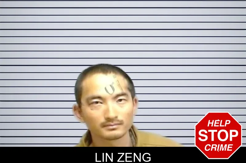 Lin Zeng mugshot
