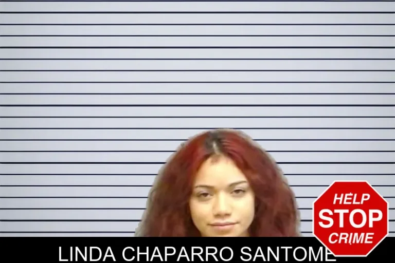 Linda Chaparro Santome