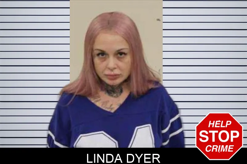 Linda Dyer mugshot