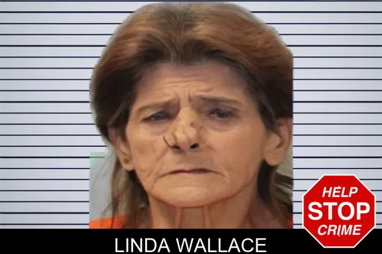 Linda Wallace mugshot – Seminole County , Georgia Linda Wallace