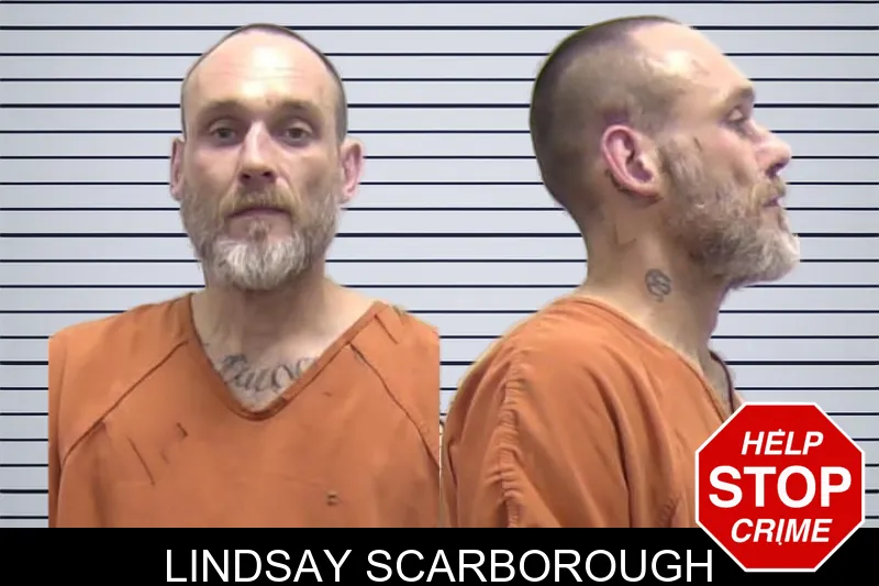 Lindsay Scarborough mugshot