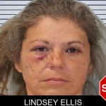 Lindsey Ellis mugshot