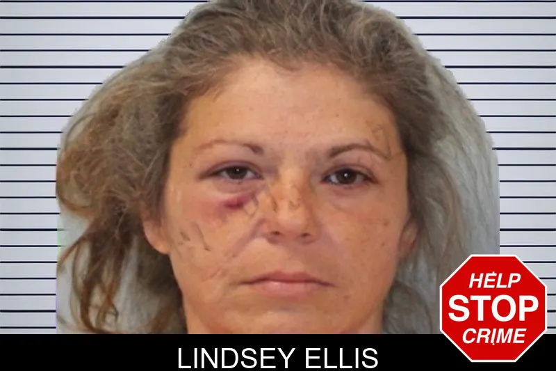 Lindsey Ellis mugshot