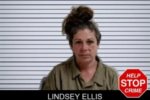 Lindsey Ellis mugshot