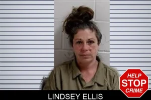 Lindsey Ellis mugshot