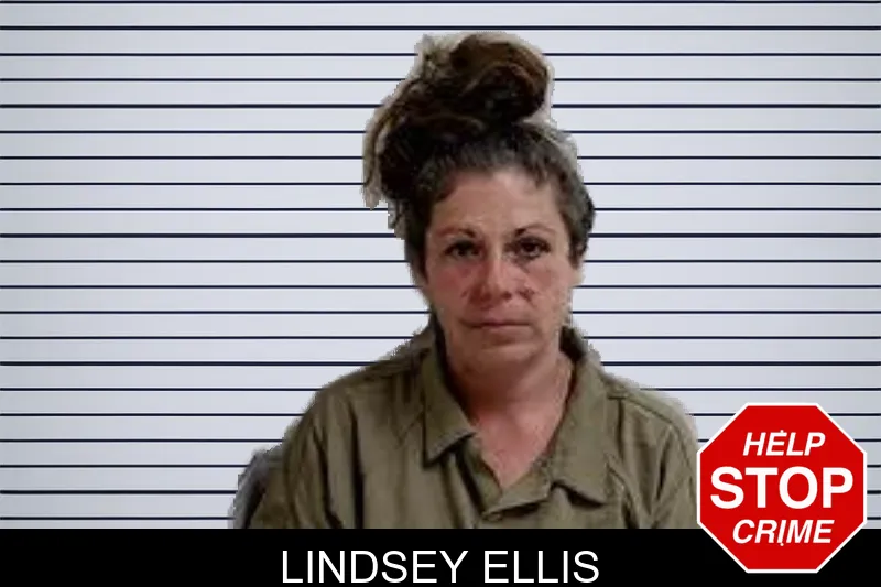 Lindsey Ellis mugshot