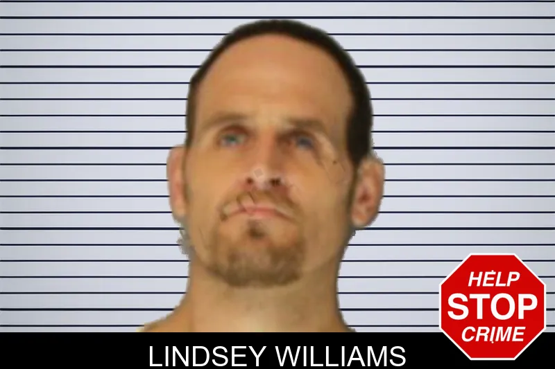 Lindsey Williams mugshot – Hall County , Georgia Lindsey Williams mugshot