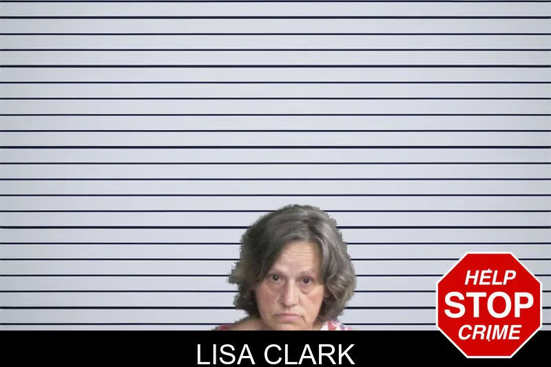 Lisa Clark mugshot – Twiggs County , Georgia Lisa Clark mugshot