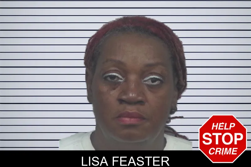 Lisa Feaster mugshot