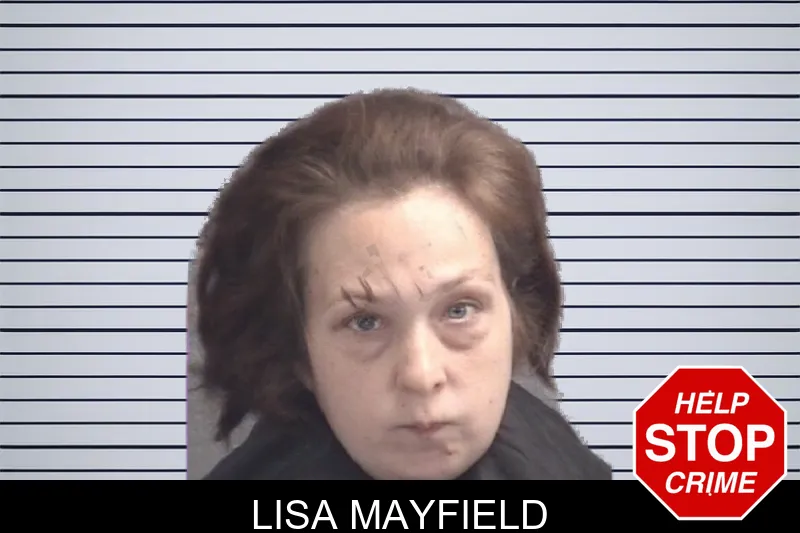 Lisa Mayfield mugshot
