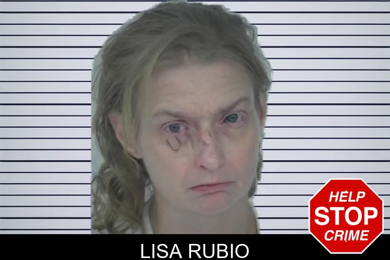 Lisa Rubio mugshot