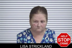 Lisa Strickland mugshot