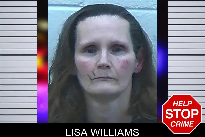 Lisa Williams mugshot