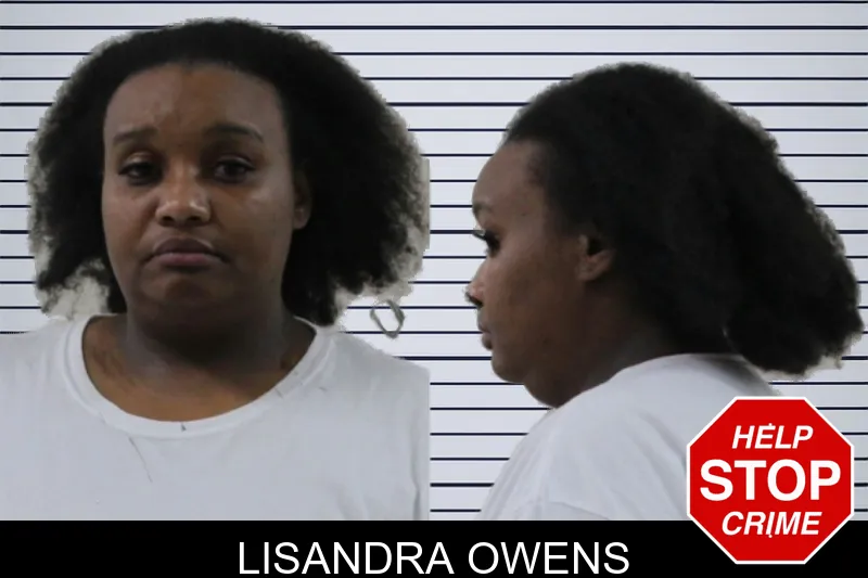 Lisandra Owens mugshot – Houston County , Georgia Lisandra Owens mugshot