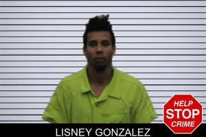 Lisney Gonzalez mugshot