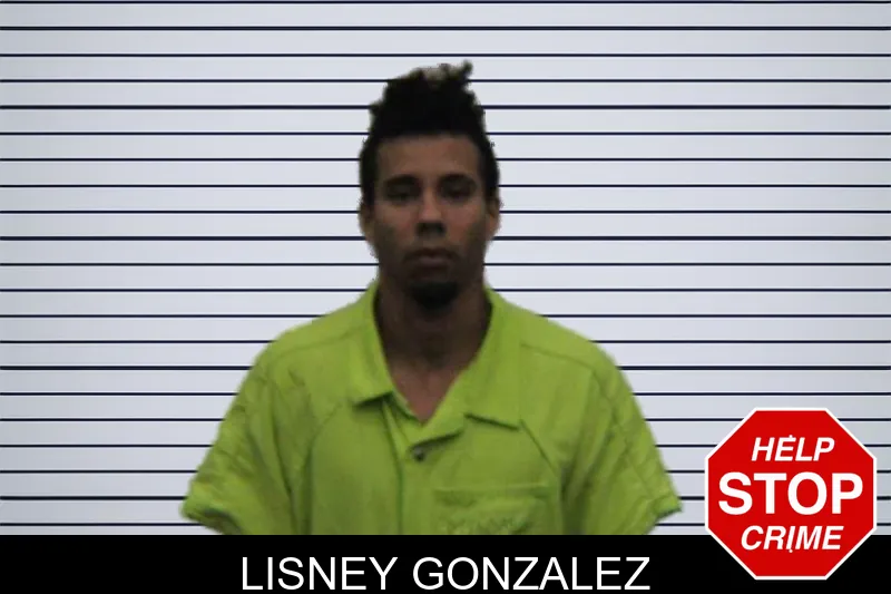 Lisney Gonzalez mugshot