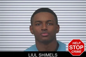 Liul Shimels mugshot