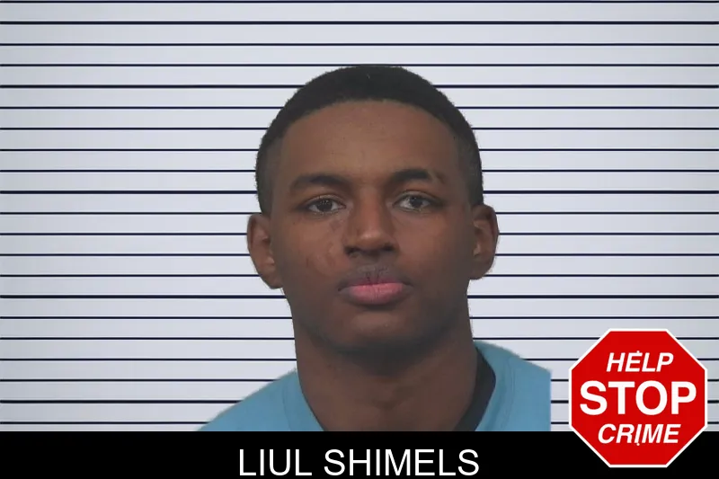 Liul Shimels mugshot