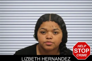 Lizbeth Hernandez mugshot