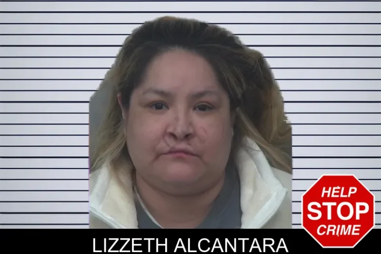 Lizzeth Alcantara mugshot – Gwinnett County , Georgia Lizzeth Alcantara