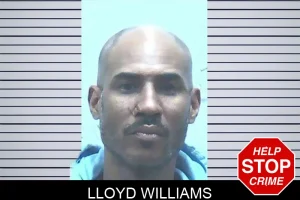 Lloyd Williams mugshot