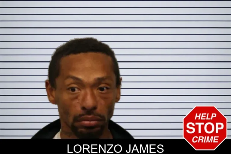 Lorenzo James mugshot – Chatham County , Georgia Lorenzo James