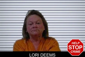 Lori Deems mugshot