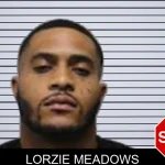 Lorzie Meadows mugshot