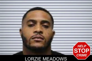 Lorzie Meadows mugshot