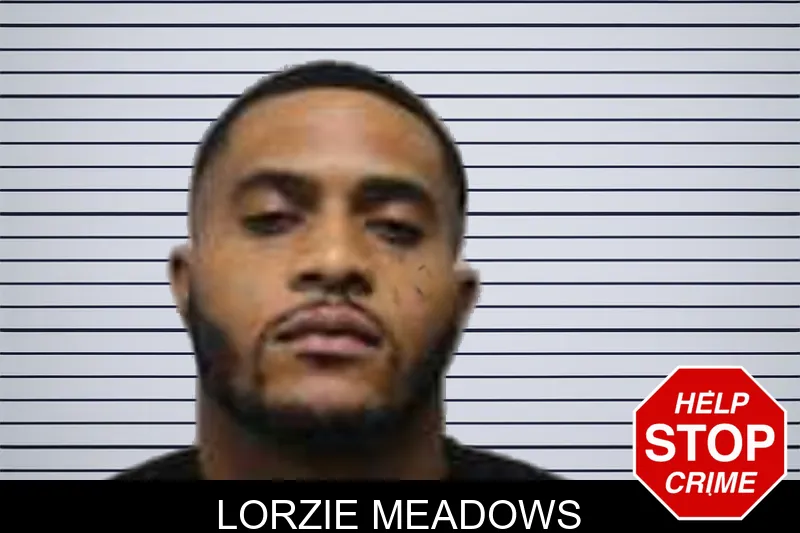 Lorzie Meadows mugshot