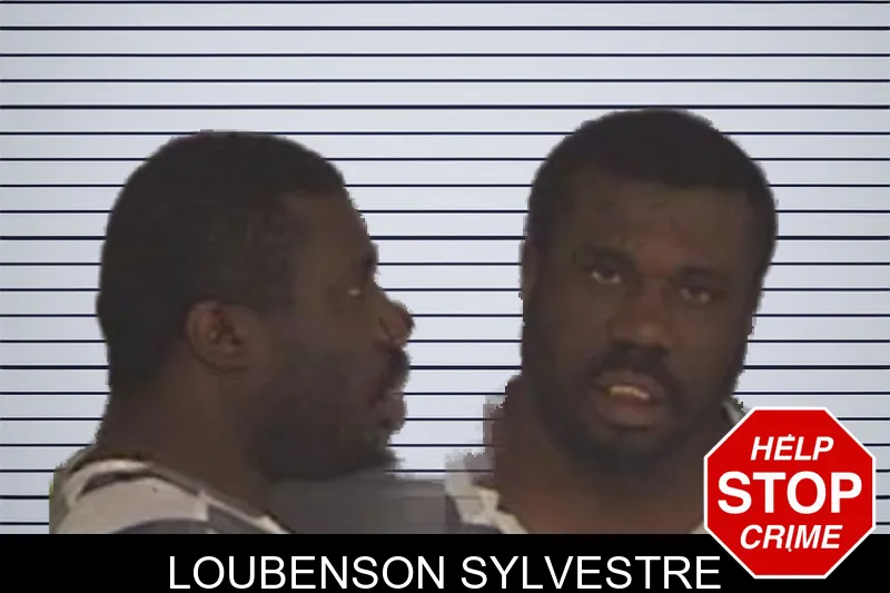 Loubenson Sylvestre mugshot – Barrow County , Georgia Loubenson Sylvestre mugshot