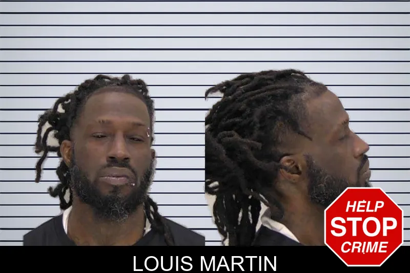 Louis Martin mugshot