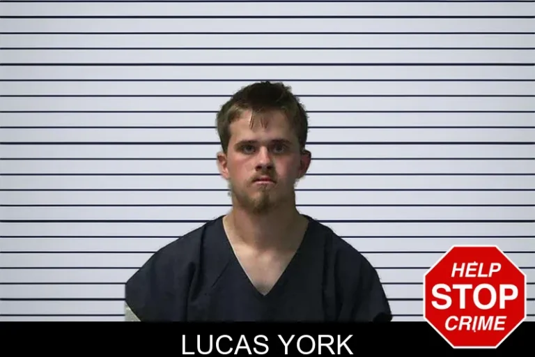 Lucas York