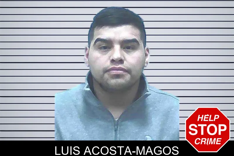 Luis Acosta-Magos mugshot