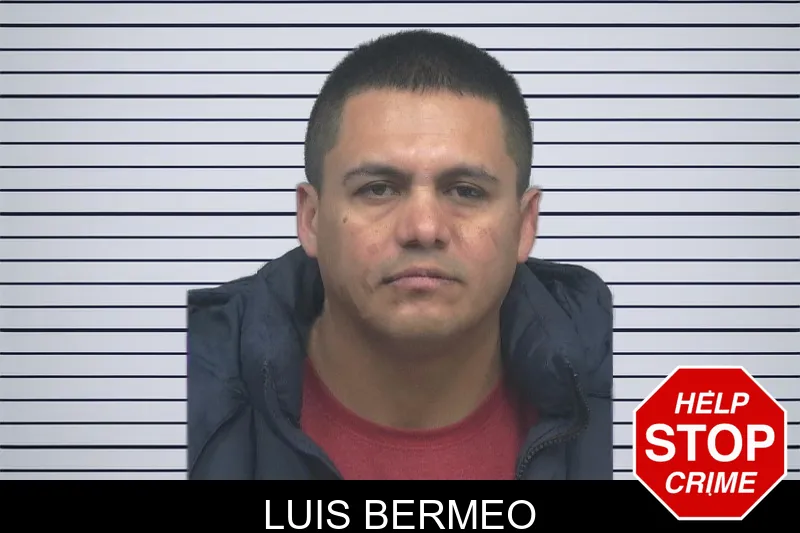 Luis Bermeo mugshot