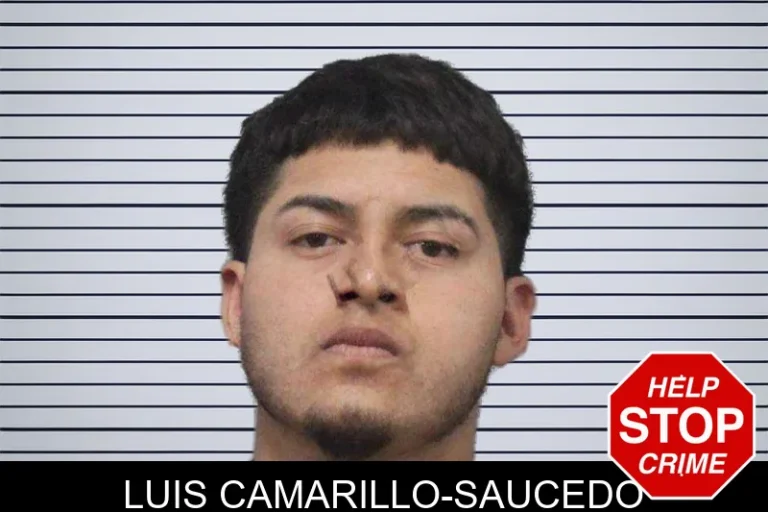 Luis Camarillo-Saucedo