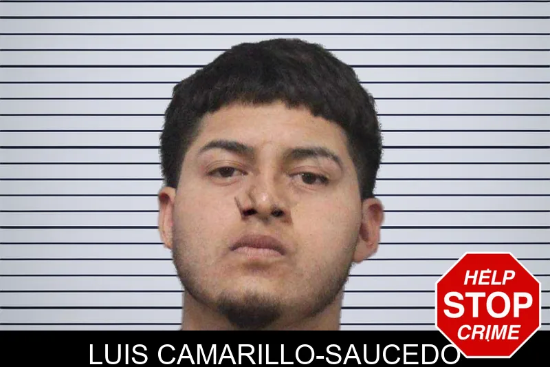 Luis Camarillo-Saucedo mugshot