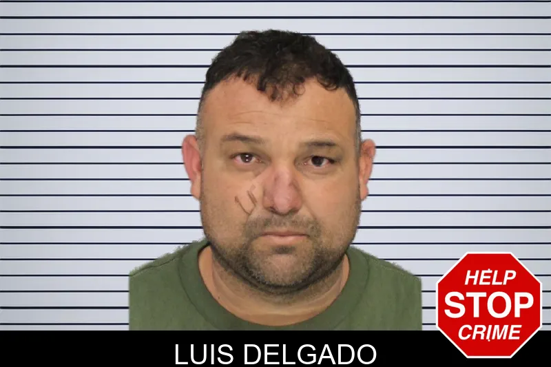 Luis Delgado mugshot