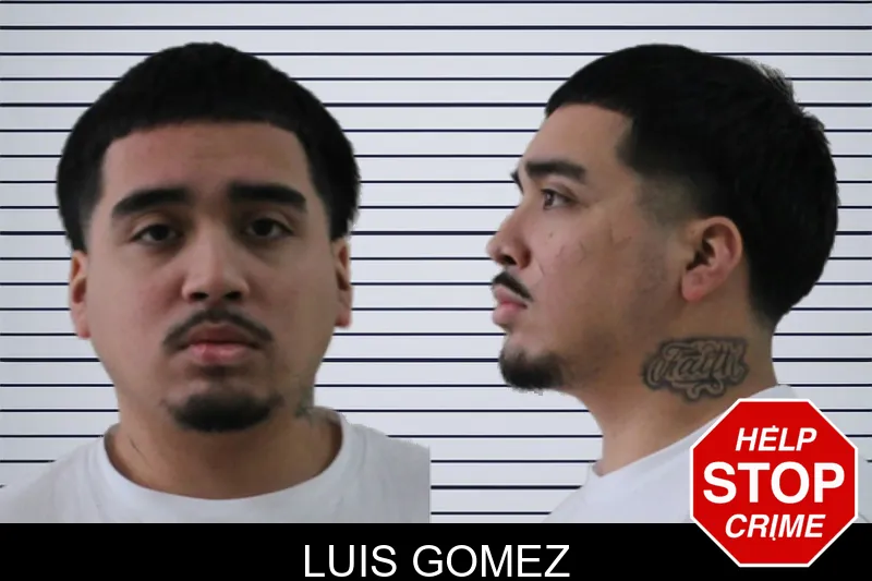 Luis Gomez mugshot