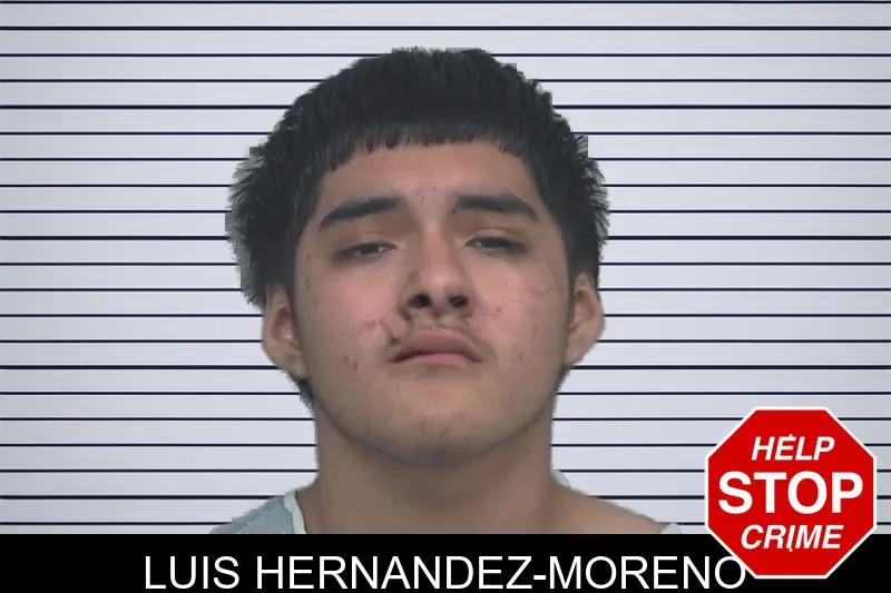 Luis Hernandez-Moreno mugshot