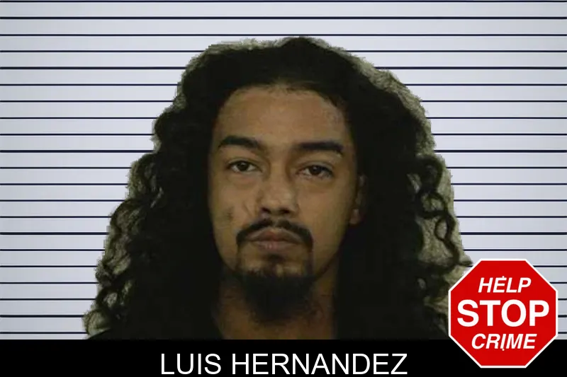 Luis Hernandez mugshot