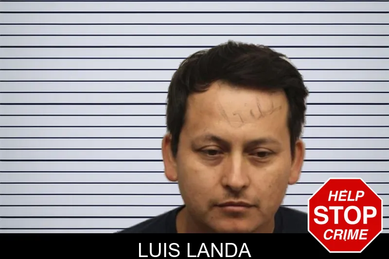 Luis Landa mugshot