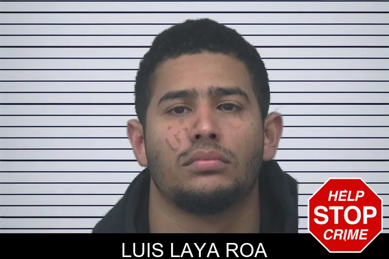 Luis Laya Roa mugshot