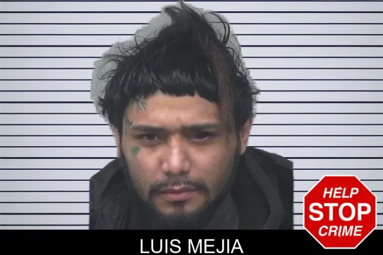 Luis Mejia