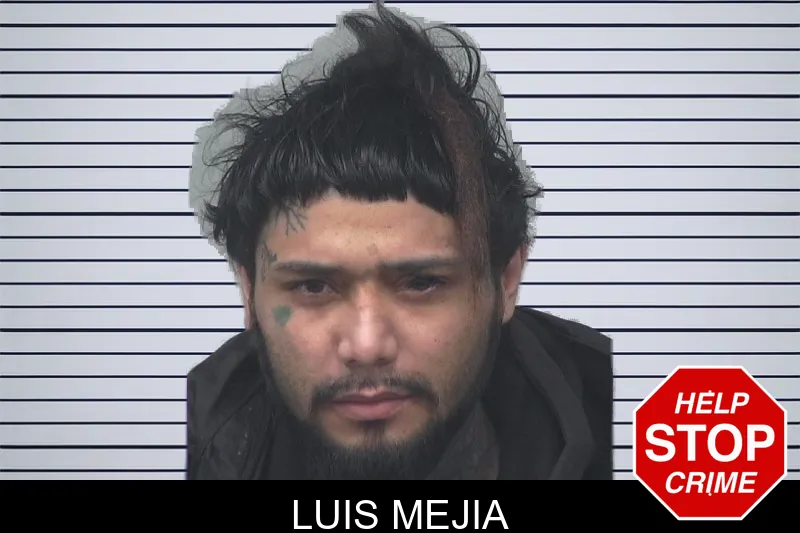 Luis Mejia mugshot