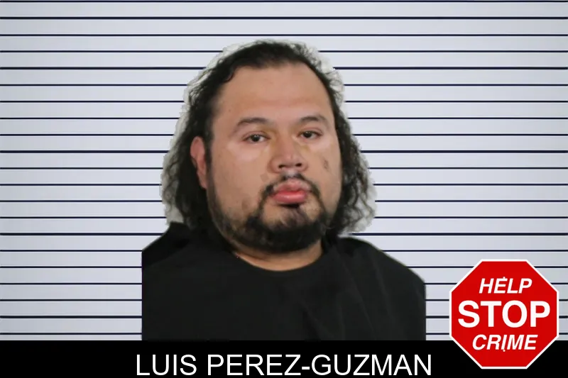 Luis Perez-Guzman mugshot
